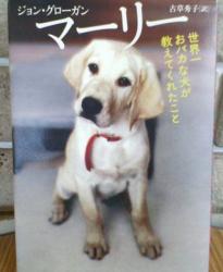 2002 2 28 2s 親分より。その２