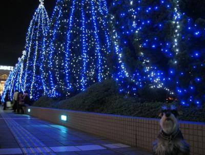 2008 12 16 1s 新宿の高島屋とサザンテラスのイルミネーション