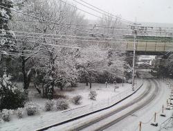 2008 2 3 5s 待ってましたぁ～雪～