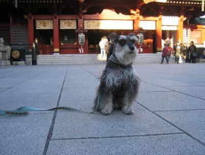 2009 1 13 4s 初詣　2009年　神田明神