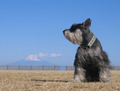 2009 1 4 1s 年明け４日目