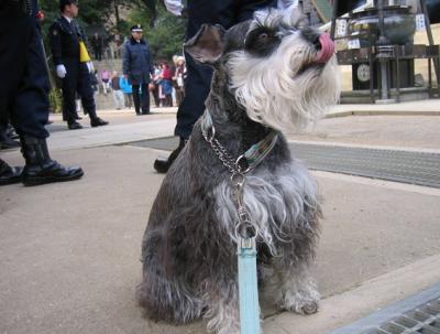 2009 2 3 5s 高尾山の節分会