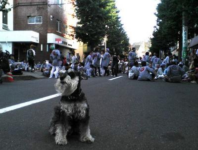 2009 9 9 1s 近所の八幡宮で秋祭り