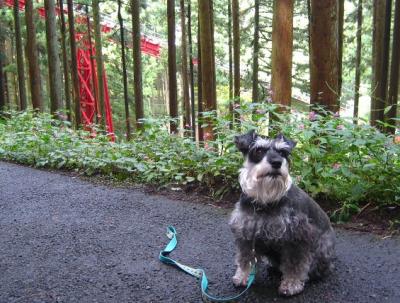 2010 10 6 4s 御岳山登山　2010