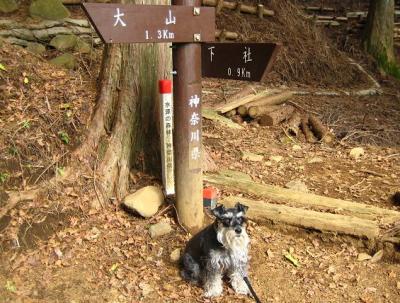 2010 12 2 3s 丹沢大山国定公園の大山に登った　２