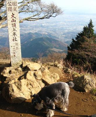 2010 12 2 6s 丹沢大山国定公園の大山に登った　２