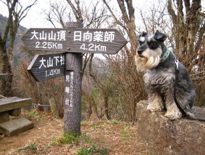 2010 12 3 3s 丹沢大山国定公園の大山に登った　３