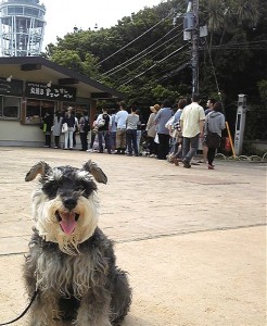 2012 5 8 16 246x300 初・江ノ島上陸！！パート２