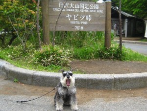 2012 6 6 11 300x227 誕生日に大山登山・前編