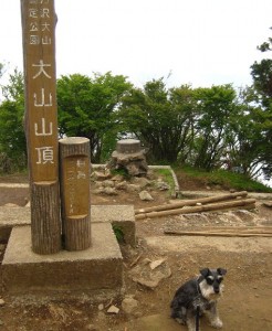 2012 6 6 5 246x300 誕生日に大山登山・前編