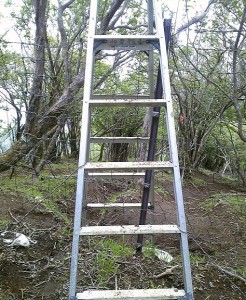 2012 6 7 1 246x300 誕生日に大山登山・後編