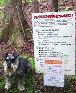 2012 6 7 12 246x300 誕生日に大山登山・後編