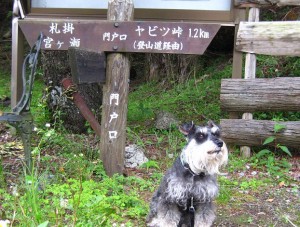 2012 6 7 13 300x227 誕生日に大山登山・後編