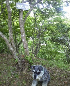 2012 6 7 3 246x300 誕生日に大山登山・後編