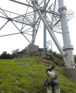 2012 6 7 6 246x300 誕生日に大山登山・後編