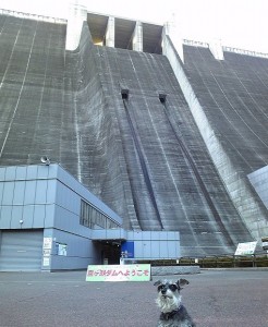 2012 12 25 1 246x300 クリスマスに宮ヶ瀬湖を散策