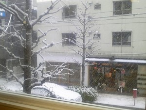 2013 1 16 1 300x227 初雪。お店から見る雪景色