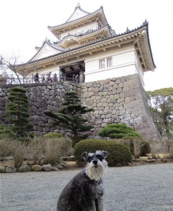 2013 1 22 6 246x300 小田原城を散策