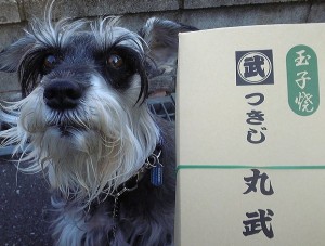2013 1 8 2 300x227 初詣　2013年