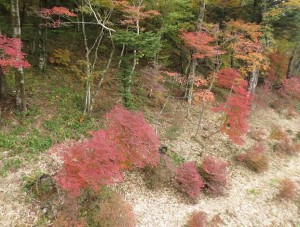 2013 10 23 2 300x227 那須高原へ行ってきた。。。