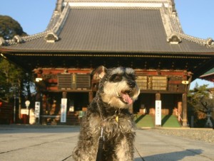 2013 11 28 6 300x227 成田山新勝寺に行って来た・・・