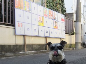 2014 2 7 11 300x225 東京都知事選