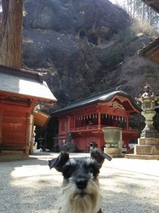 2014 5 28 3 225x300 榛名神社へ行ってきた。