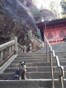 2014 5 28 4 225x300 榛名神社へ行ってきた。