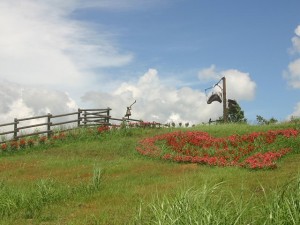 2014 8 24 5 300x225 嬬恋村でキャンプ。