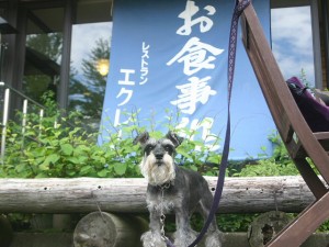 2014 8 26 2 300x225 キャンプの帰りは草津温泉へ。