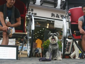 2014 8 26 5 300x225 キャンプの帰りは草津温泉へ。