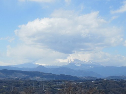 2015 3 12 4 500x375 湘南平に行ってきた。