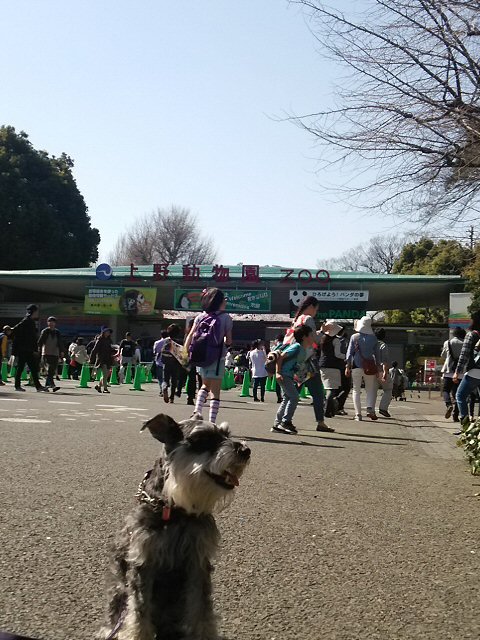 2015 3 31 4 上野公園とスカイツリー